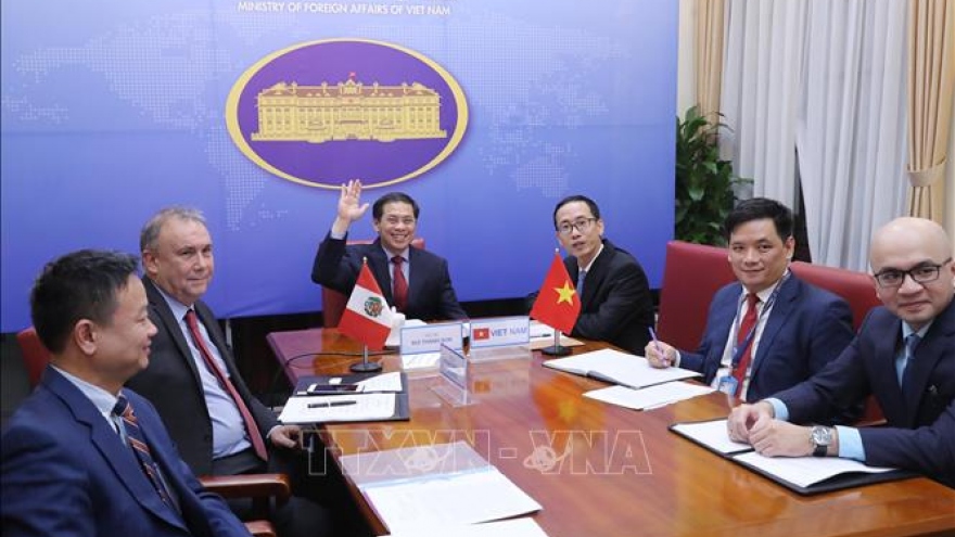 Vietnam, Peru hold fourth political consultation